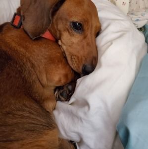 Meet your Posher, Mary